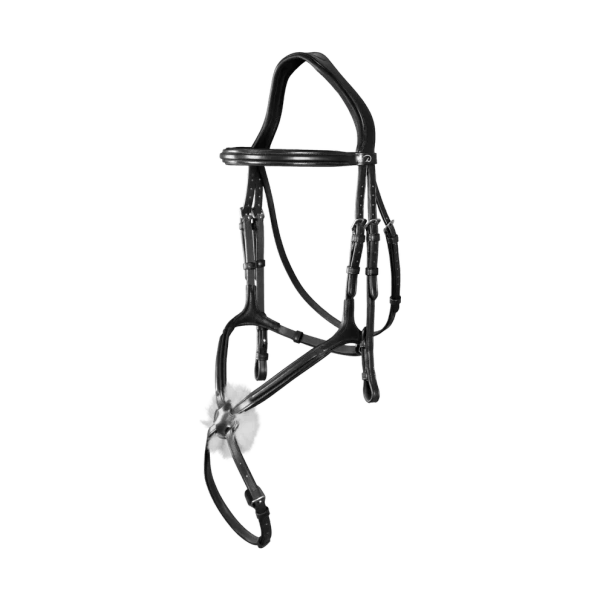 Ogłowie z nachrapnikiem meksykańskim Dy'on New English Collection NEAAAC