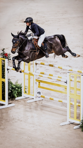 Ochraniacze tylne Veredus Pro Jump Active