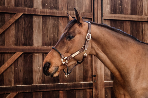 Kantar z nachrapnikiem sznurkowym Kentucky Horsewear Leather Rope