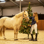 Podkolanówki jeździeckie QHP Christmas - 2-pak