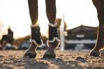 Ochraniacze treningowe Veredus TRB Save The Sheep - przody