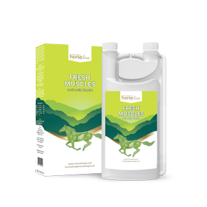 Odkwaszacz dla koni Fresh Muscles
