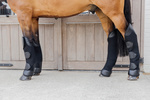 Ochraniacze transportowe na tylne nogi Kentucky Horsewear 3D Spacer Travel Boots Hind