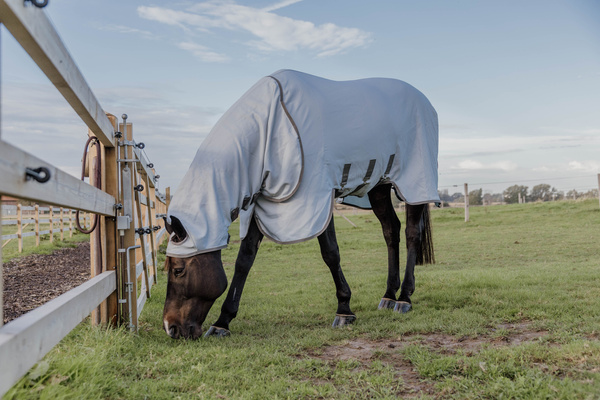 Derka siatkowa przeciw owadom z kapturem dla koni z egzemą Kentucky Horsewear Eczema Rug