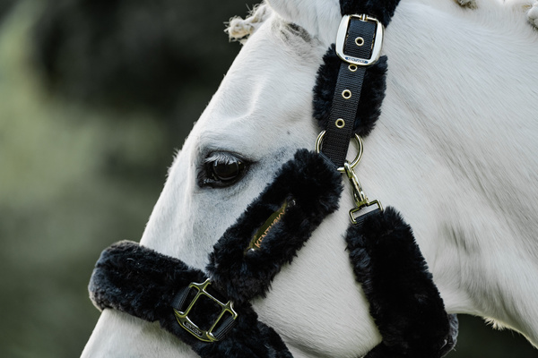 Kantar obszyty w całości syntetycznym futrem Kentucky Horsewear Sheepskin Shipping