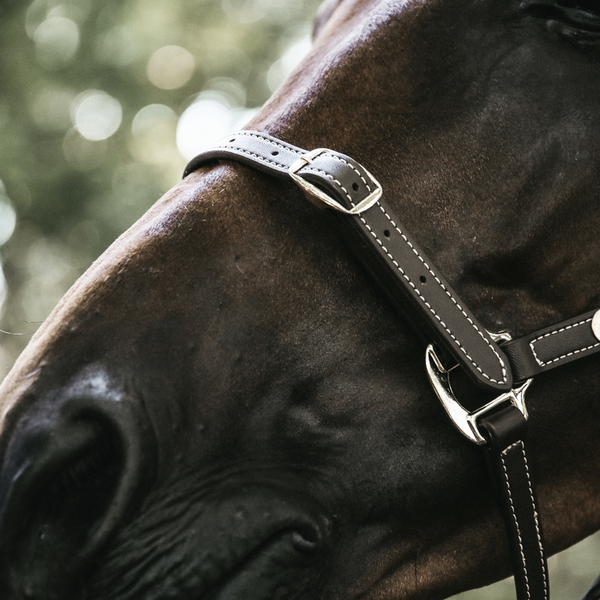 Kantar pielęgnacyjny ze skóry syntetycznej Kentucky Horsewear Leather Halter Flexible