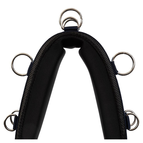 Pas do lonżowania Premiere