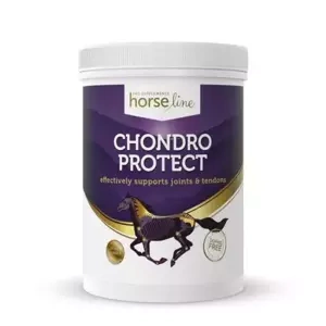 Suplement wspierający zdrowie stawów koni HorseLine ChondroProtect