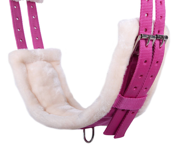 Pas do lonżowania QHP Color