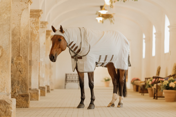 Derka siatkowa przeciw owadom z kapturem dla koni z egzemą Kentucky Horsewear Eczema Rug