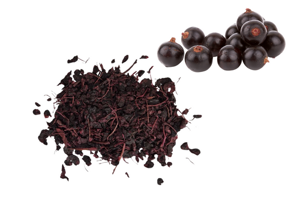 Susz z czarnej porzeczki EQUIHERBS