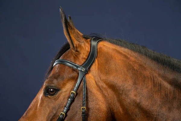 Ogłowie anatomiczne Dy'on D Collection X- FIT DYCCCD