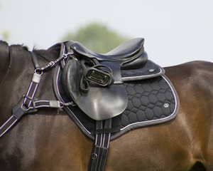 Czaprak wszechstronny QHP Eldorado