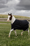 Derka padokowa Kentucky Horsewear Comfort 100g