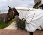 Derka siatkowa przeciw owadom Kentucky Horsewear Multifunctional Summer Sheet