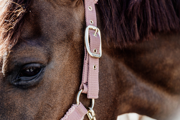 Kantar dla konia Kentucky Horsewear Teddy Fleece