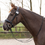 Numerek startowy QHP Modeste Round