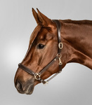 Kantar skórzany Waldhausen Classy 