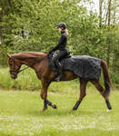 Derka treningowa Waldhausen Exclusive 