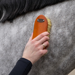 Zestaw do czyszczenia konia QHP Royal