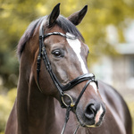 Ogłowie z anatomicznym nachrapnikiem Kavalkade Ivana