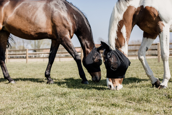 Maska przeciw owadom Kentucky Horsewear Slim Fit