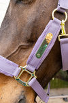 Kantar dla konia Kentucky Horsewear Velvet