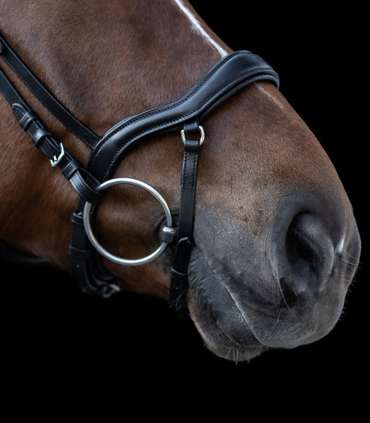 Ogłowie anatomiczne Waldhausen X-Line New Shape II