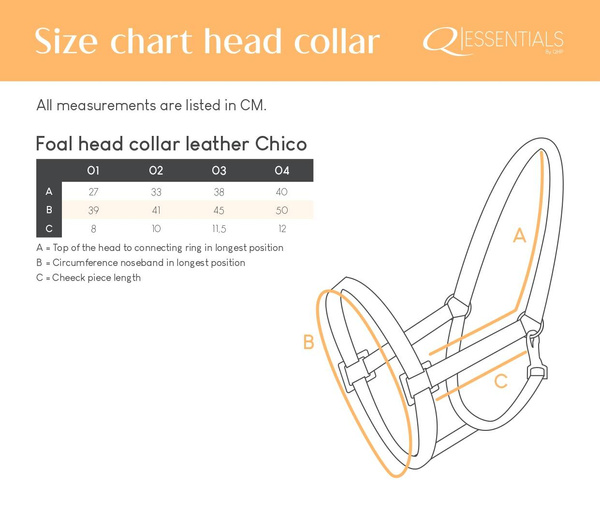 Kantar skórzany dla źrebaka QHP Chico