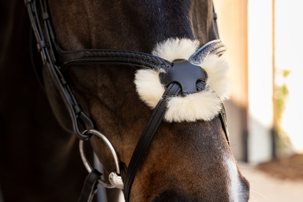 Ogłowie z nachrapnikiem meksykańskim Dy'on New EnglishCollection Plaited NEAOAV