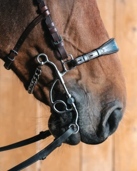 Pasek do wędzidła hackamore Fager Paula