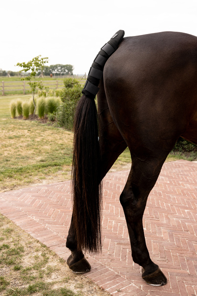 Ochraniacz na ogon do transportu Kentucky Horsewear Pro