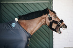 Derka magnetyczna Kentucky Horsewear Recuptex