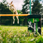 Naturalny suplement dla psów sportowych Pokusa Power Dog BCAA Pure