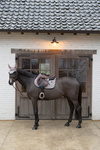 Czaprak skokowy Kentucky Horsewear Pied-de-Poule