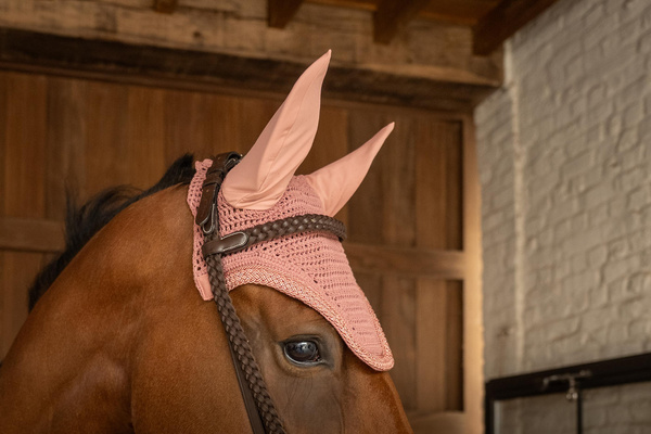 Nauszniki klasyczne Kentucky Horsewear Wellington Plaited Glitter Rope