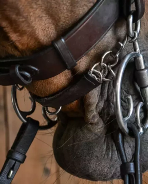 Łańcuszek ze skórzaną osłonką Fager