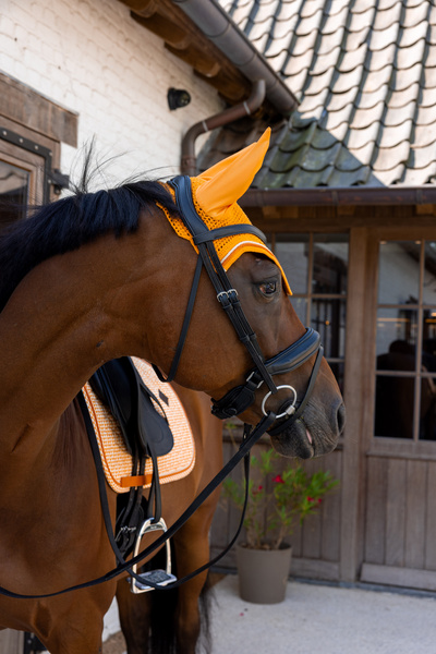 Nauszniki klasyczne Kentucky Horsewear Velvet Printing