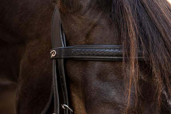 Ogłowie z nachrapnikiem meksykańskim Dy'on New EnglishCollection Plaited NEAOAV