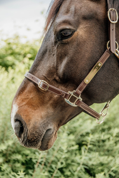 Kantar pielęgnacyjny ze skóry syntetycznej Kentucky Horsewear Leather Halter Flexible