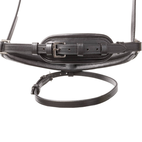 Ogłowie z nachrapnikiem kombinowanym Kavalkade Victoria