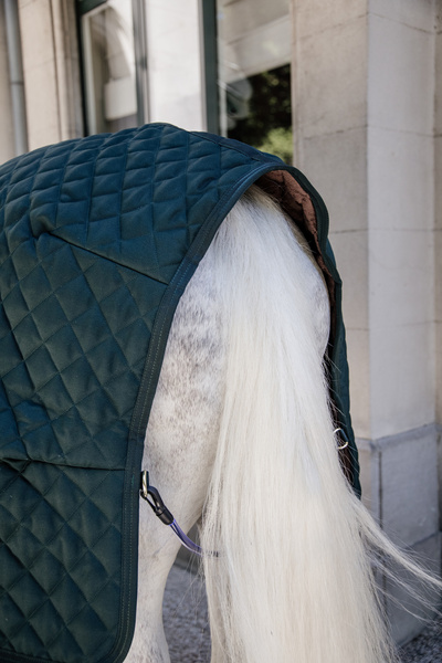 Derka stajenna Kentucky Horsewear - 400g