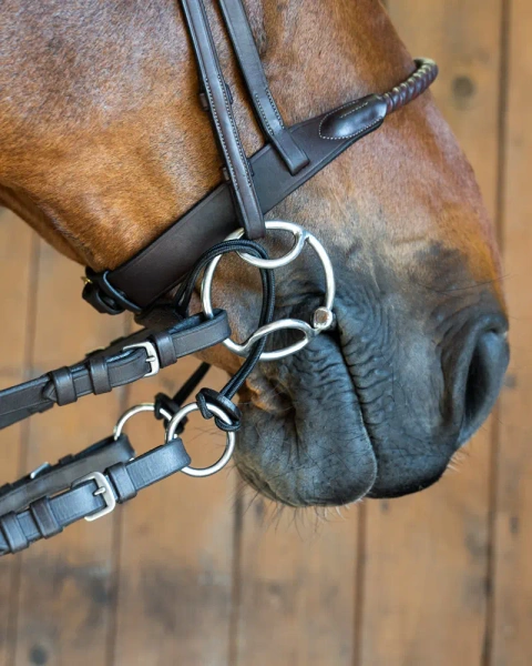 Pasek do wędzideł typu Beval Fager Curb Gag