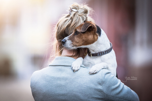 Obroża dla psa Kentucky Dogwear Triangle