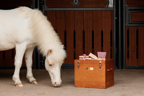 Szczotka do usuwania kurzu i wykończenia Kentucky Horsewear Sammy Kids Body Brush Unicorn