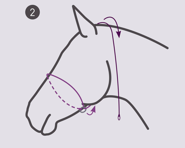 Kantar do zdjęć QHP