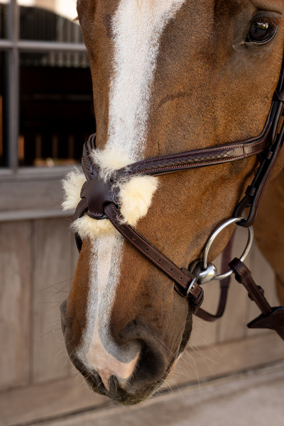 Ogłowie z nachrapnikiem meksykańskim Dy'on New EnglishCollection Plaited NEAOAV