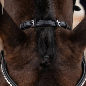 Pasek potyliczny Schockemöhle Sports Equitus Rho