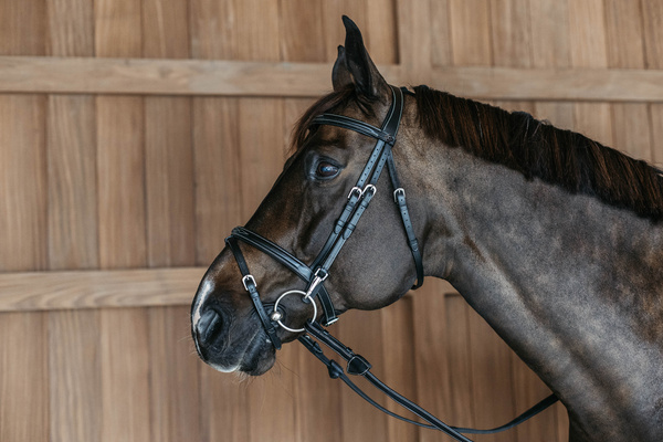 Ogłowie z nachrapnikiem angielskim Dy'on Working Collection WOAPG