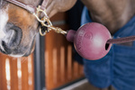 Kula ochronna do uwiązu Kentucky Horsewear